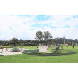 Pista olímpica de skate será construída no Parque Newton Puppi